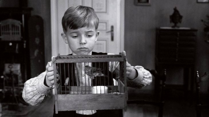 Photo du film Le Ruban blanc