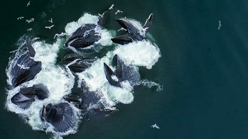 Photo from the movie The Year Earth Changed