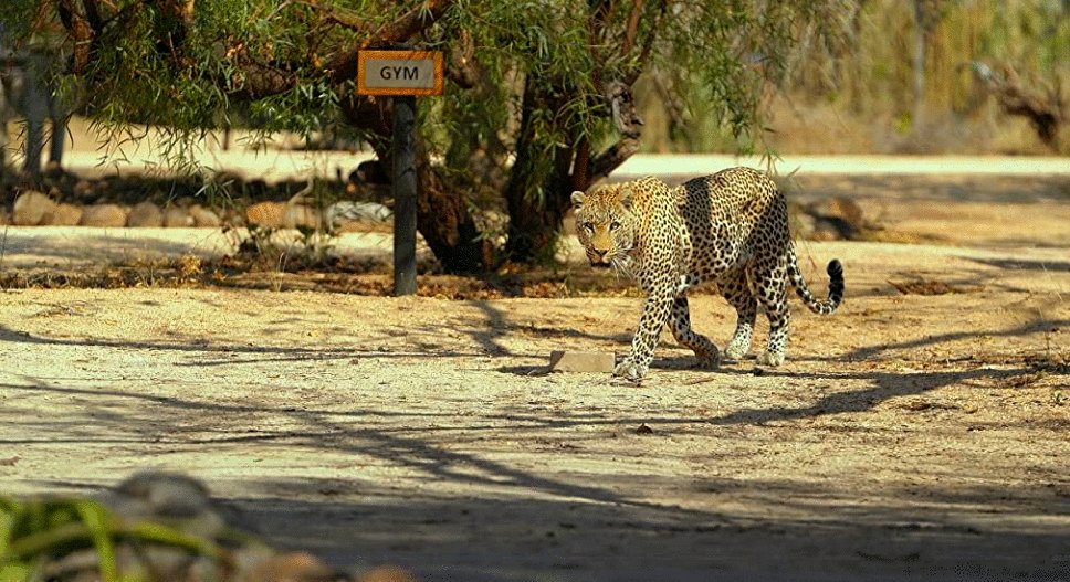 Photo from the movie The Year Earth Changed