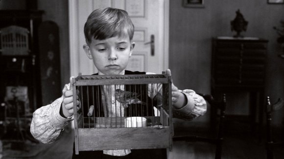 Photo du film Le Ruban blanc