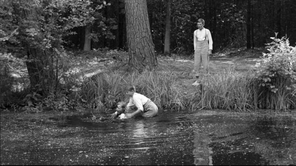 Photo du film Le Ruban blanc