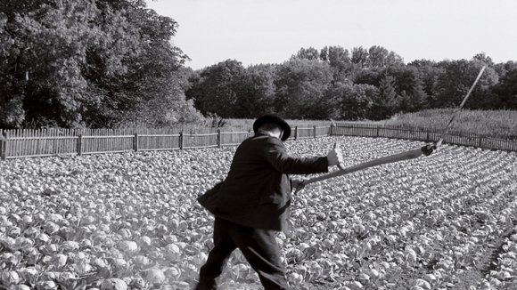 Photo du film Le Ruban blanc