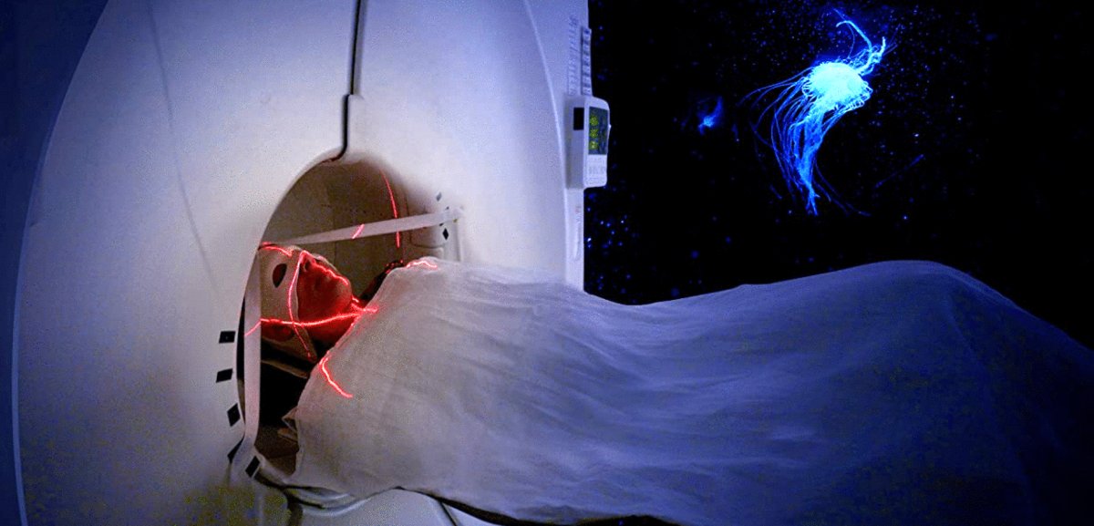 Photo du film Aware: Glimpses of Consciousness