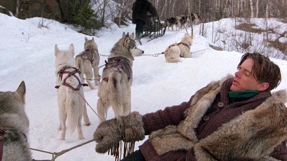 Photo du film Iron Will