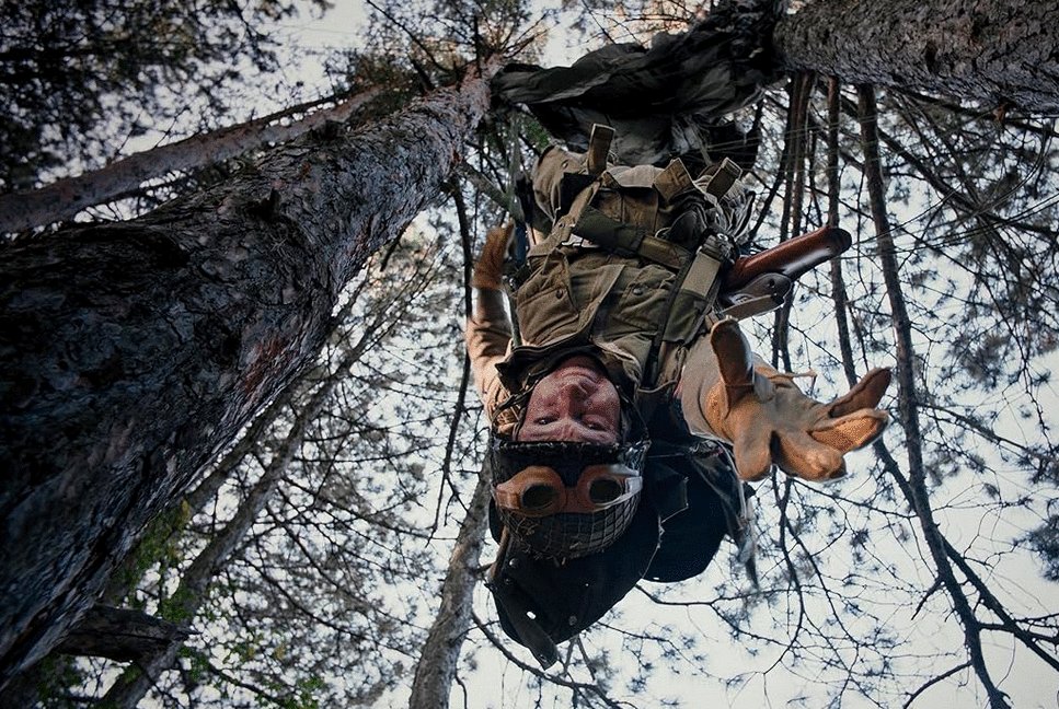 Photo du film Murder Company