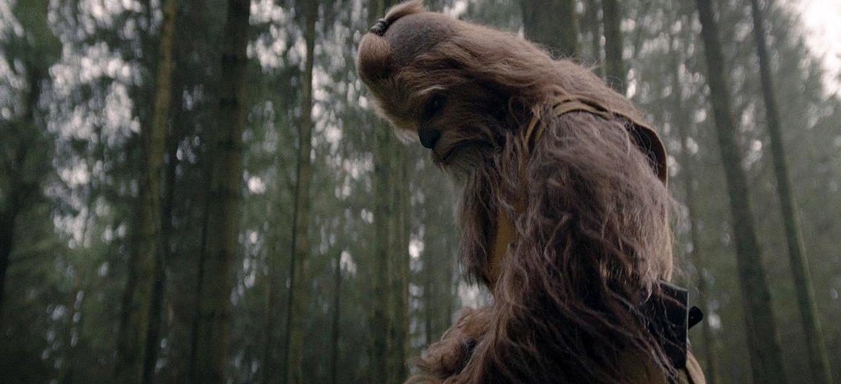 Photo from the movie The Acolyte