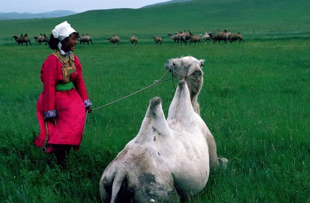 Photo du film Jeanne d'Arc de Mongolie