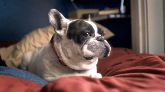 Photo du film 7 Chinese Brothers