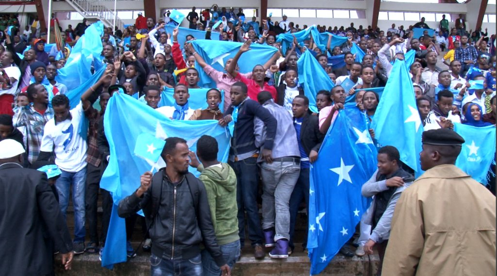 Photo du film Men in the Arena