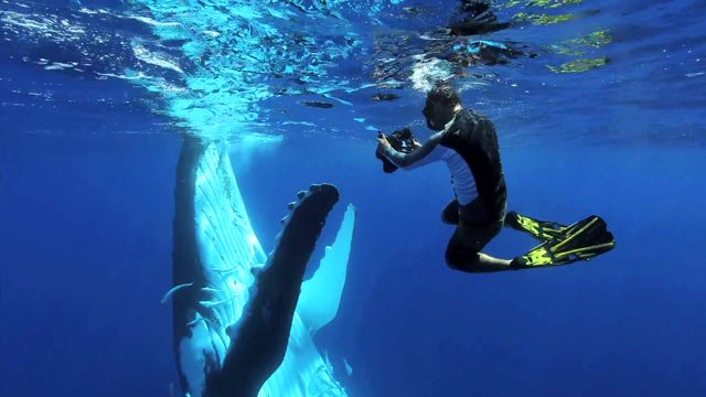 Photo du film Tales by Light