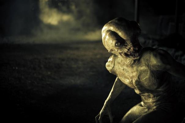 Photo du film Welcome to Willits