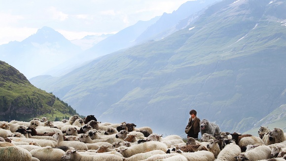 Photo from the movie Belle and Sebastian