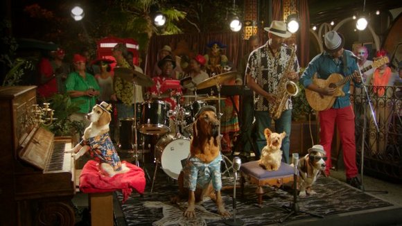 Photo du film Pup Star