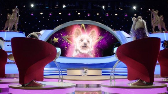 Photo du film Pup Star