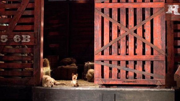 Photo du film Pup Star