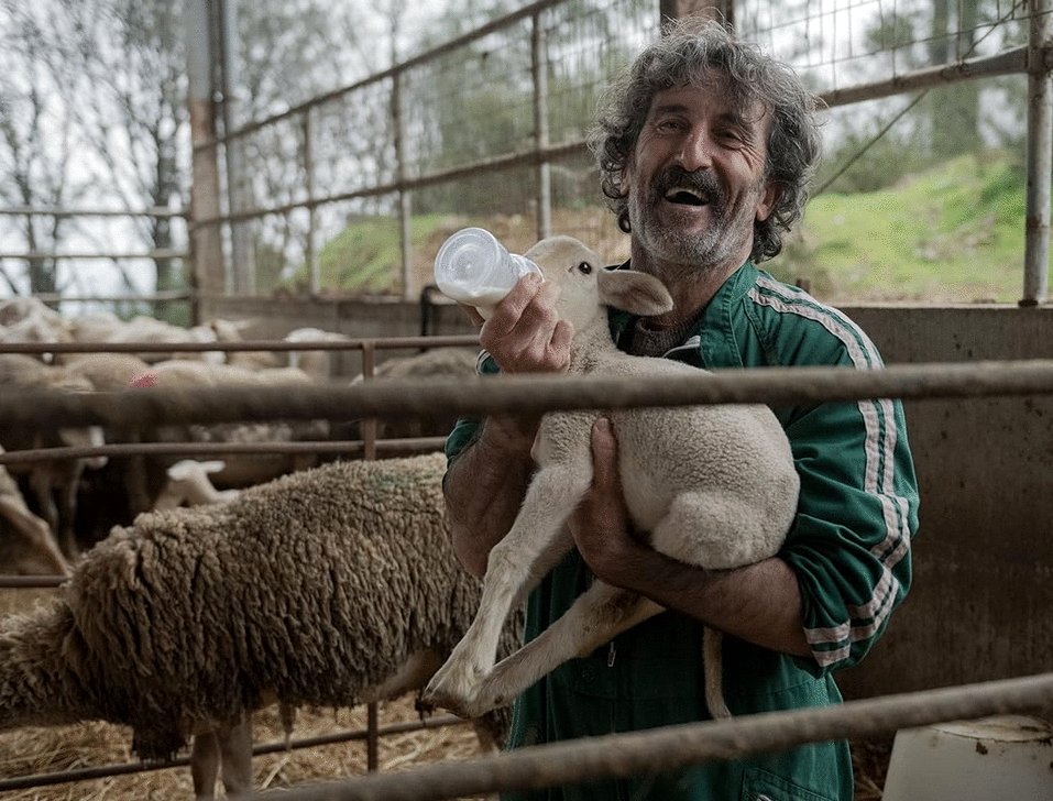 Photo du film Old Dog, New Tricks