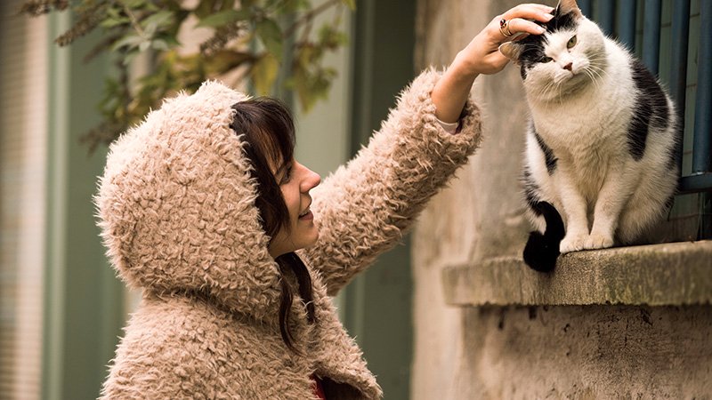 Photo from the movie Emma Peeters