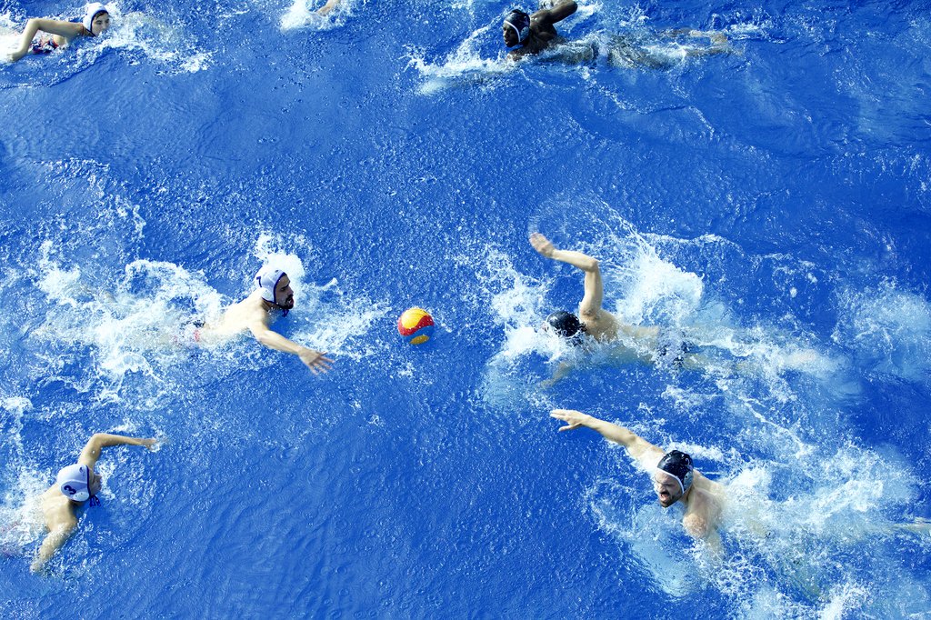 Photo from the movie The Shiny Shrimps