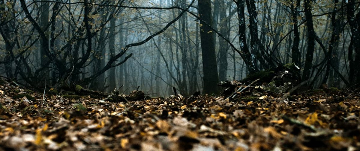 Photo from the movie Anonymous Animals [2020]