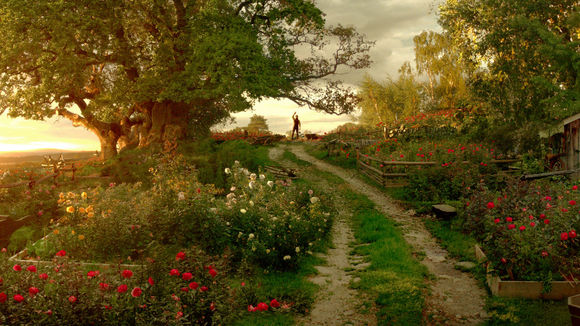 Photo du film La Belle et la Bête
