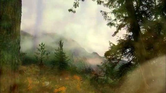 Photo du film Behemoth