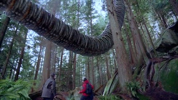 Photo du film Behemoth