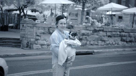 Photo du film Heart of a Dog