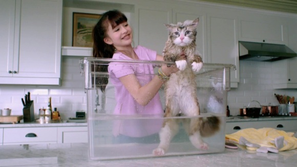 Photo from the movie Nine Lives