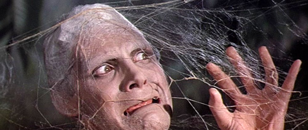 Photo du film The Fly