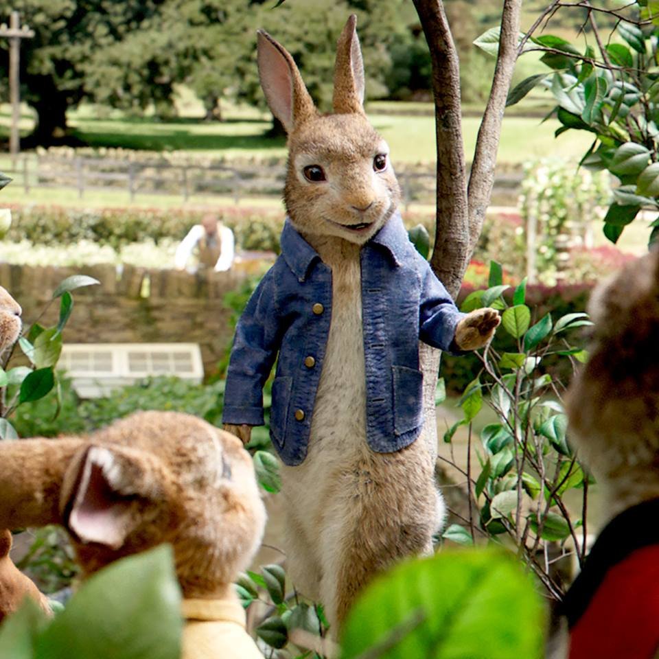 Photo du film Pierre Lapin 2: Le fugueur