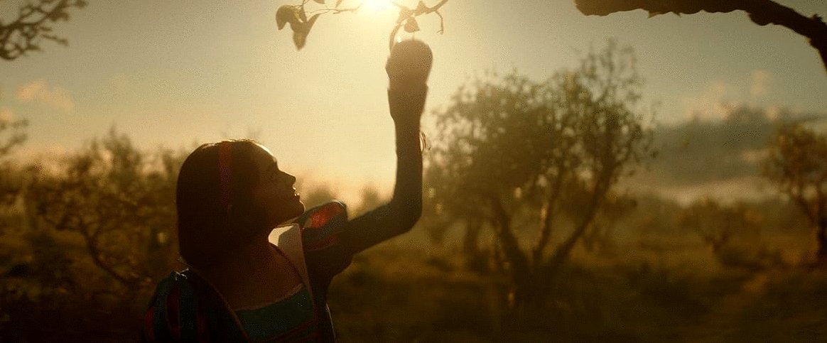 Photo du film Blanche-Neige