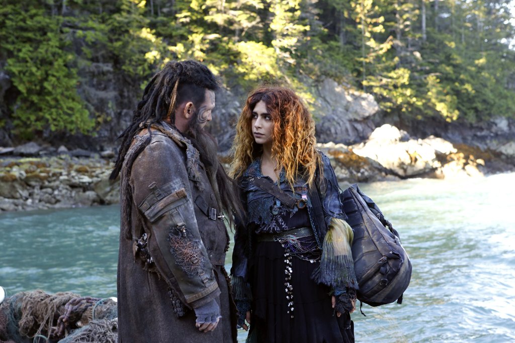 Photo du film The 100