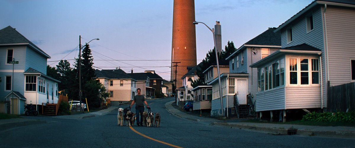 Photo du film Amour apocalypse