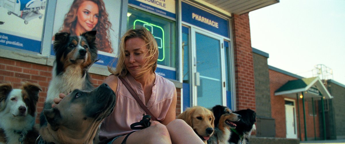 Photo du film Amour apocalypse