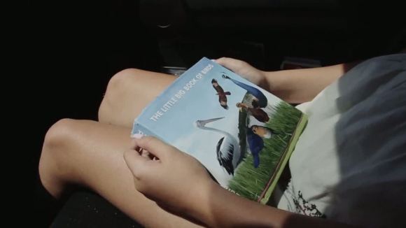 Photo du film Among Ravens