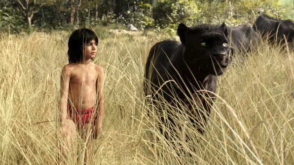 Photo du film Le Livre de la jungle