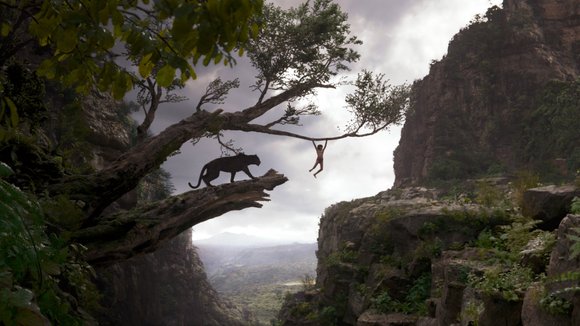 Photo du film Le Livre de la jungle