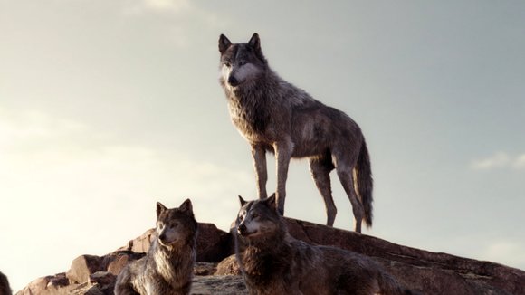 Photo du film Le Livre de la jungle