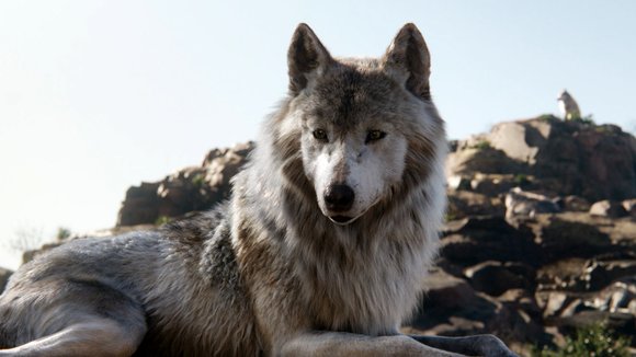 Photo du film Le Livre de la jungle