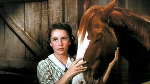 Photo du film National Velvet