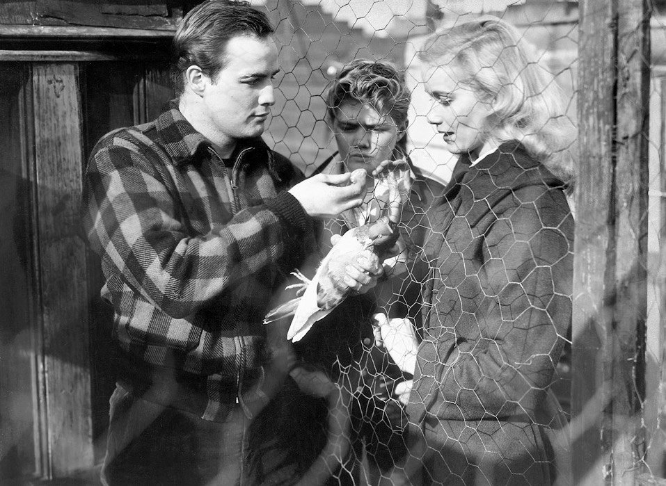 Photo du film On the Waterfront