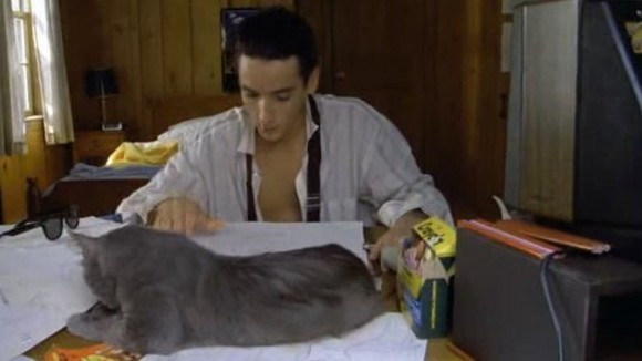 Photo du film Un Eté fou fou fou