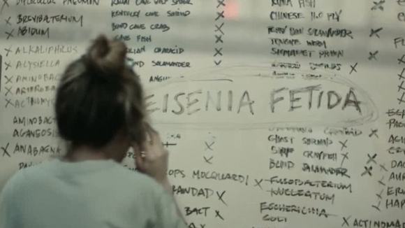 Photo du film I Origins