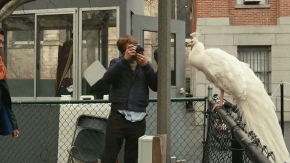 Photo du film I Origins