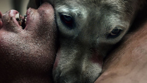 Photo du film The ABCs of Death