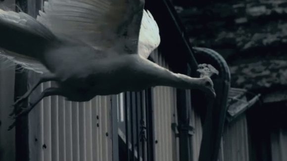 Photo du film I Origins