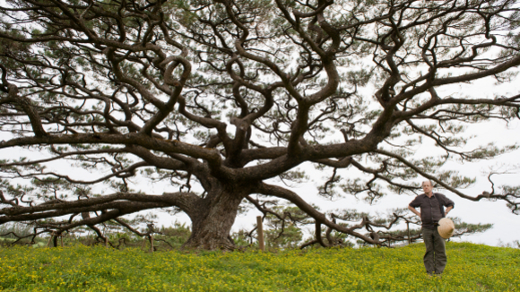 Photo du film Karakara