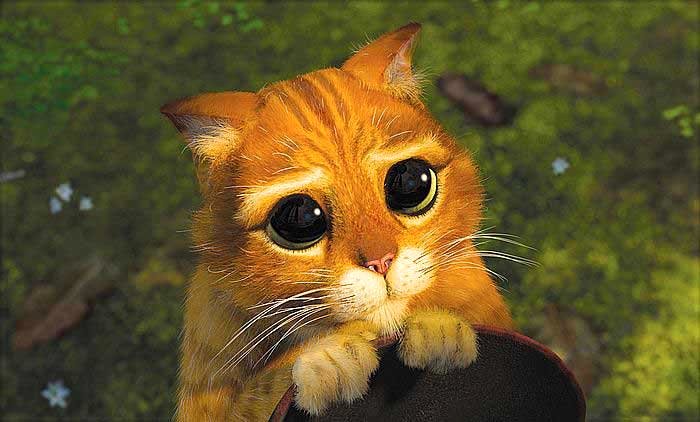 Photo du film Shrek 2 v.f.