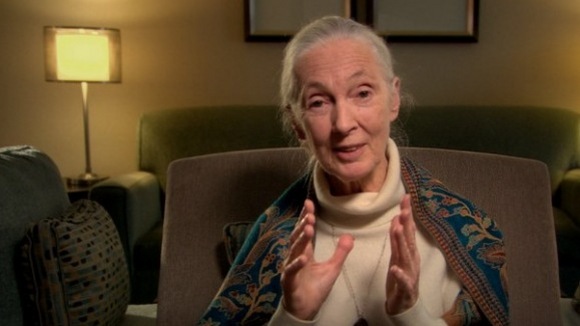 Photo from the movie Surviving Progress