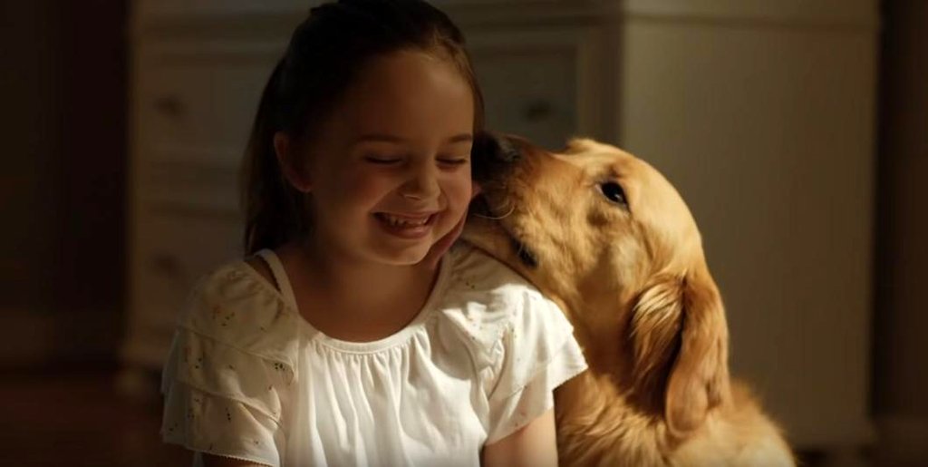 Photo from the movie The Art of Racing in the Rain